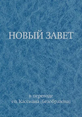 Священное Писание Новый Завет в переводе еп. Кассиана (Безобразова) обложка книги