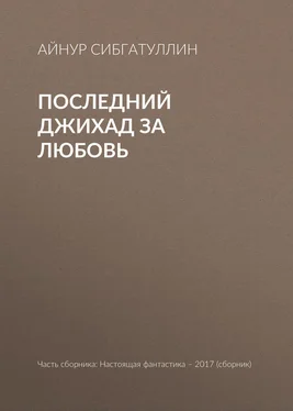 Айнур Сибгатуллин Последний джихад за любовь обложка книги