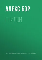 Алекс Бор - Гнилой