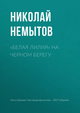 Николай Немытов «Белая лилия» на черном берегу обложка книги