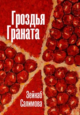 Зейнаб Салимова Гроздья Граната обложка книги