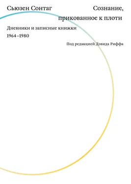 Сьюзен Сонтаг Сознание, прикованное к плоти. Дневники и записные книжки 1964–1980 обложка книги