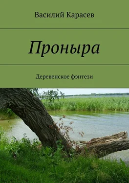 Василий Карасев Проныра. Деревенское фэнтези обложка книги