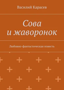 Василий Карасев Сова и жаворонок. Любовно-фантастическая повесть обложка книги