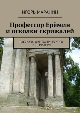 Игорь Маранин Профессор Ерёмин и осколки скрижалей. Рассказы фантастического содержания обложка книги