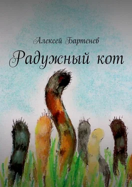 Алексей Бартенев Радужный кот обложка книги