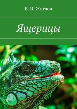 В. Жиглов Ящерицы обложка книги