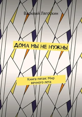 Василий Лягоскин Дома мы не нужны. Книга пятая: Мир вечного лета обложка книги