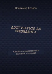 Владимир Козлов - Достучаться до президента. Жалоба государственного значения – в прозе