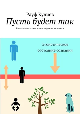 Рауф Кулиев Пусть будет так. Книга о неосознанном поведении человека обложка книги