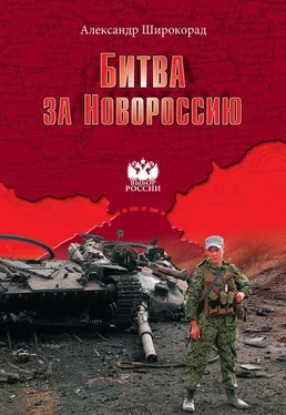 Александр Широкорад Битва за Новороссию обложка книги