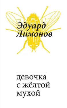 Эдуард Лимонов Девочка с жёлтой мухой обложка книги