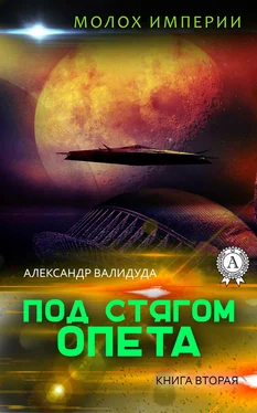 Александр Валидуда Под стягом Опета обложка книги