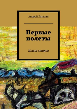 Андрей Лапшин Первые полеты. Книга стихов обложка книги