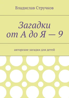 Владислав Стручков Загадки от А до Я – 9. Авторские загадки для детей обложка книги