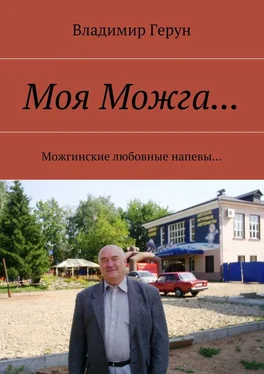 Владимир Герун Моя Можга… Можгинские любовные напевы… обложка книги