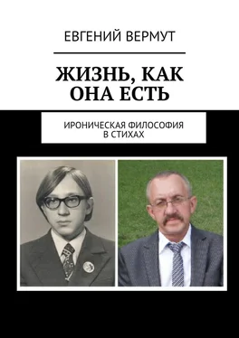 Евгений Вермут Жизнь, как она есть. Ироническая философия в стихах обложка книги