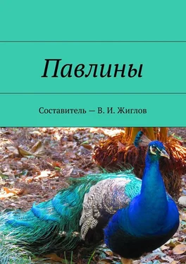 В. Жиглов Павлины обложка книги