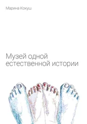 Марина Кокуш - Музей одной естественной истории