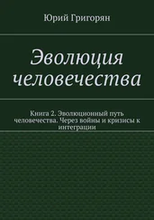 Юрий Григорян - Эволюция человечества. Книга 2. Эволюционный путь человечества. Через войны и кризисы к интеграции