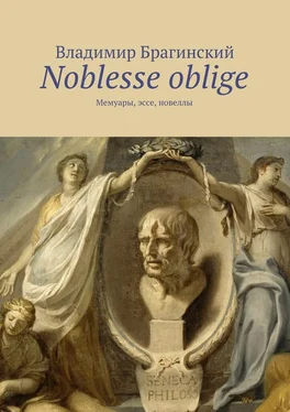 Владимир Брагинский Noblesse oblige. Мемуары, эссе, новеллы обложка книги