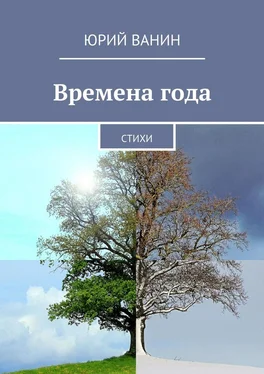 Юрий Ванин Времена года. Стихи обложка книги