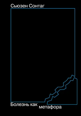 Сьюзен Сонтаг Болезнь как метафора обложка книги