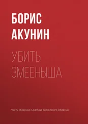 Борис Акунин - Убить змееныша