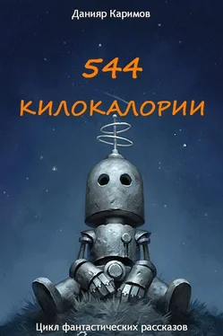 Данияр Каримов 544 килокалории обложка книги