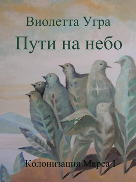 Виолетта Угра Пути на небо. Колонизация Марса I обложка книги