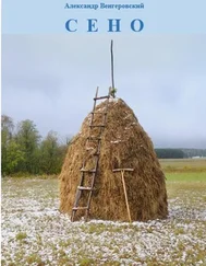 Александр Венгеровский - Сено