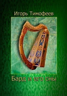 Игорь Тимофеев Бард и его сны обложка книги