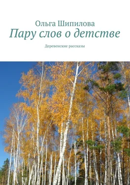 Ольга Шипилова Пару слов о детстве. Деревенские рассказы обложка книги