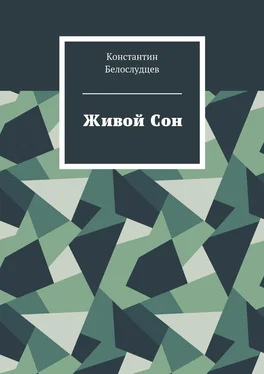 Константин Белослудцев Живой Сон обложка книги