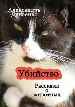 Александръ Дунаенко Убийство. Рассказы о животных обложка книги