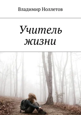 Владимир Ноллетов Учитель жизни обложка книги