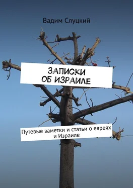 Вадим Слуцкий Записки об Израиле. Путевые заметки и статьи о евреях и Израиле обложка книги