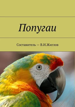 В. Жиглов Попугаи обложка книги