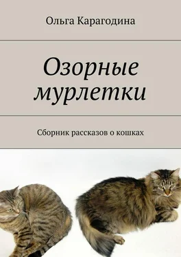 Ольга Карагодина Озорные мурлетки. Сборник рассказов о кошках обложка книги