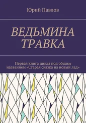 Юрий Павлов - Ведьмина травка. Первая книга цикла под общим названием «Старая сказка на новый лад»