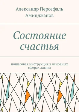 Александр Аминджанов Состояние счастья. Пошаговая инструкция в основных сферах жизни обложка книги