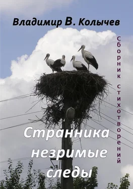 Владимир Колычев Странника незримые следы обложка книги