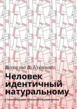 Всеволод Кудинов Человек идентичный натуральному. Стихотворения. Психологическая поэма обложка книги