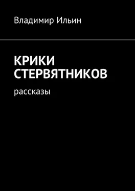 Владимир Ильин Крики стервятников. Рассказы обложка книги