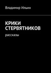 Владимир Ильин - Крики стервятников. Рассказы