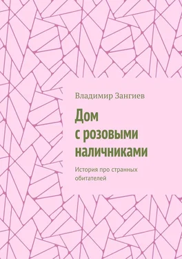 Владимир Зангиев Дом с розовыми наличниками. История про странных обитателей обложка книги