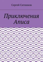 Сергей Ситников - Приключения Аписа