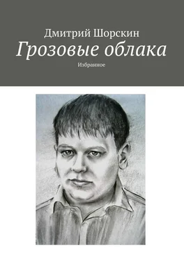 Дмитрий Шорскин Грозовые облака. Избранное обложка книги