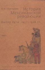 Николай Платошкин - История Мексиканской революции. Выбор пути. 1917–1928 гг. Том II