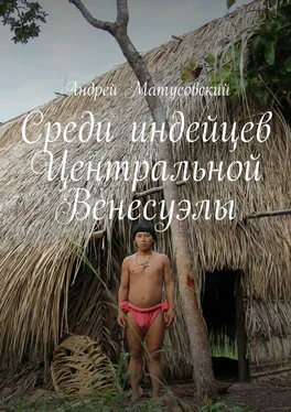 Андрей Матусовский Среди индейцев Центральной Венесуэлы обложка книги